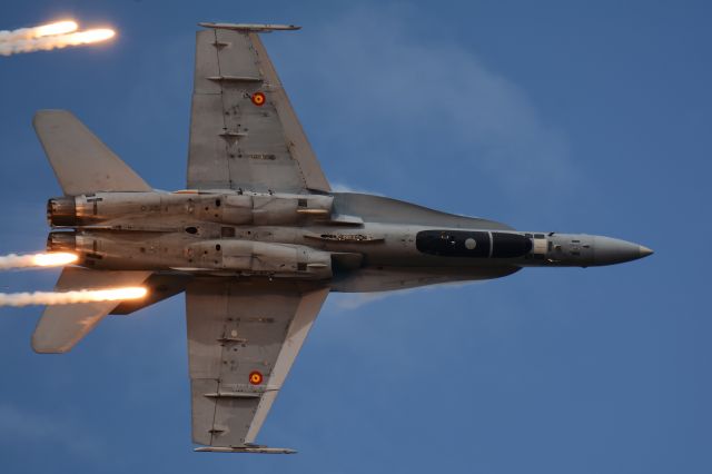 C1560 — - McDonnell Douglas EF-18 A+ Hornet