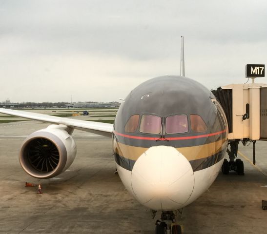 Boeing 787-8 (JY-BAA) - Del to RJA in 2014