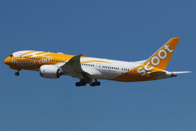 Boeing 787-8 (9V-OFM)