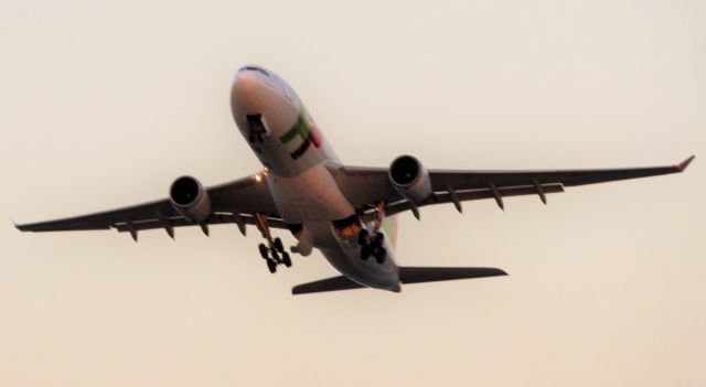 Airbus A330-200 (CS-TOQ)
