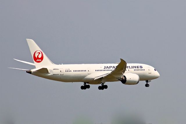 Boeing 787-8 (JA833J)