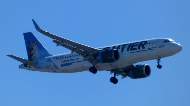 Airbus A320neo (N337FR) - Hunter the Bobcat is moments from landing, spring 2021.