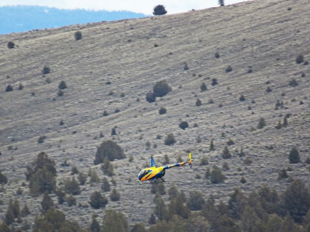 Robinson R-44 (N7195J) - flyby near 44.12°N 119.85°Wbr /17Feb17 1400hr