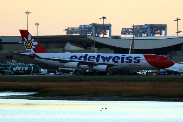 Airbus A340-300 (HB-JMC) - Edelweiss A343 operating Zurich-Tampa diverted to Boston. Possibly the first time this airline visited Logan. 