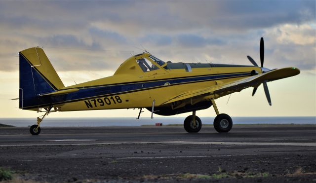 AIR TRACTOR AT-503 (N79018) - 2022-12-01