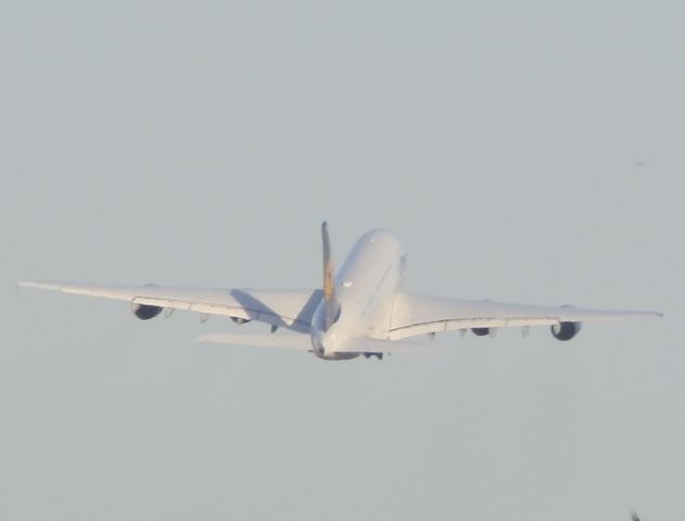 Airbus A380-800 (D-AIMG)