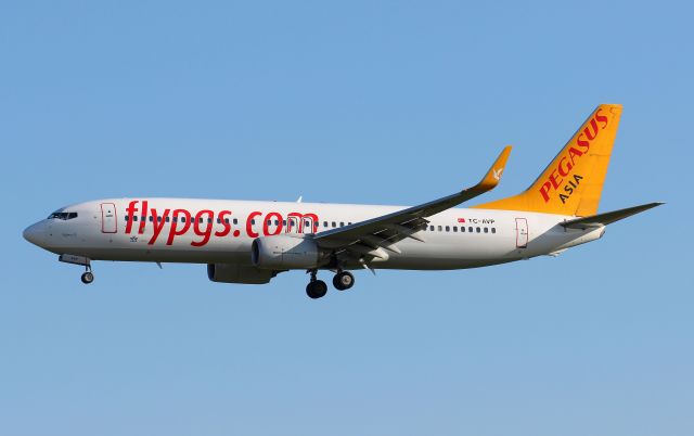 Boeing 737-800 (TC-AVP)