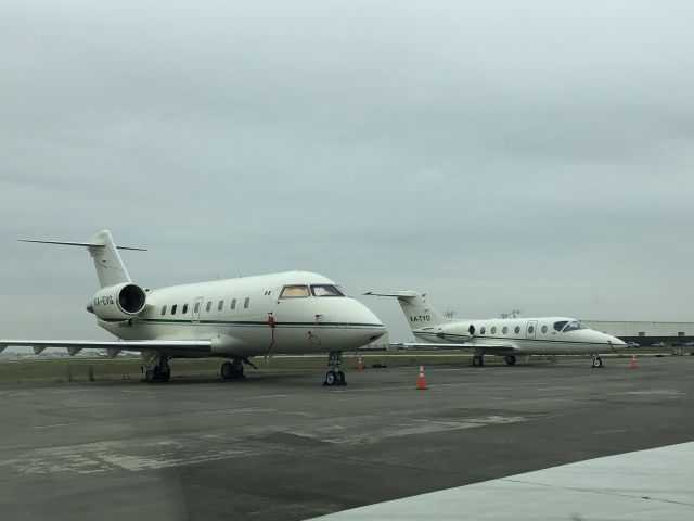 Canadair Challenger (XA-EVG)