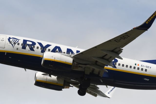 Boeing 737-800 (EI-SEV)