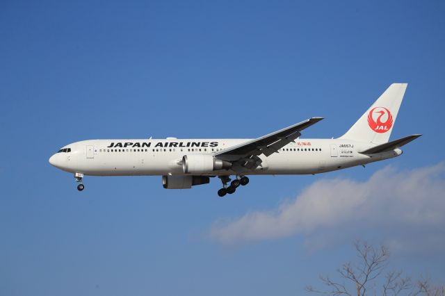 BOEING 767-300 (JA657J) - March 2nd 2019:HND-HKD.