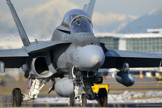 McDonnell Douglas FA-18 Hornet (18-8917)