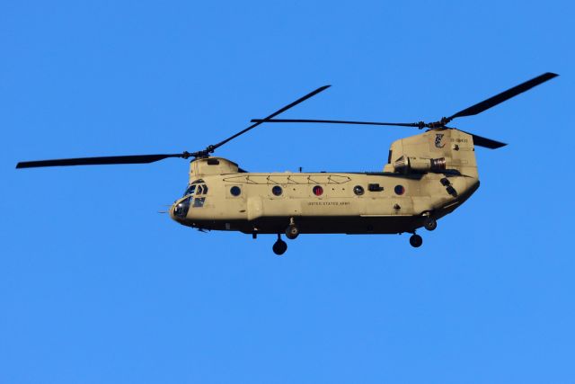 Boeing CH-47 Chinook (1308433)
