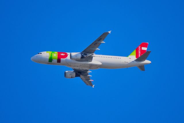 Airbus A320 (CS-TNO) - 2008 - 1991 Airbus A320-211, c/n 234 br /Another plane of many owners... br / GATX- N493GX br /14/03/1992 TAP Air Portugal CS-TNC lsd from GATX br /01/06/2000 YES Air Charter CS-TNC br /15/08/2001 TAP Air Portugal CS-TNC br /15/01/2004 Jordan Aviation JY-JAR br /15/02/2004 Aqaba Arlines JY-JAR br /01/04/2004 Karthago Airlines JY-JAR br /06/02/2005 Jordan Aviation JY-JAR br /01/04/2005 LTE JY-JAR br /05/01/2006 TAP Air Portugal CS-TNO Named Luis de Freitas Branco br /08/04/2009 Seagle Air OM-HLD Stored 10/2009 br /31/01/2011 Crystal Thai Airlines HS-CTA Lsd From Macquarie Airfinance br /03/10/2011 Snecma F-HGNT 