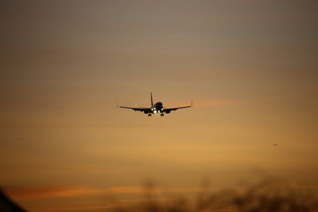 Boeing 737-800 (N551AS)