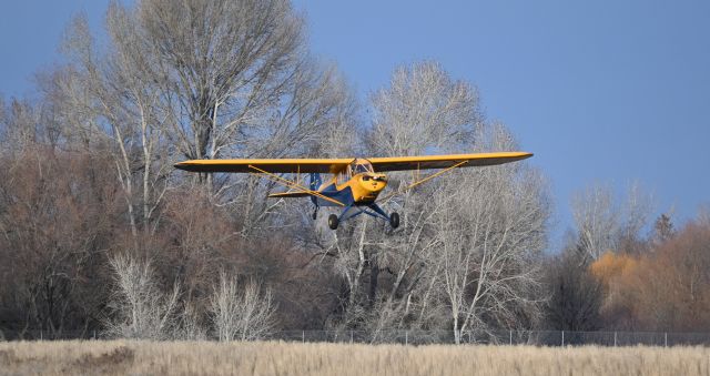 Piper L-18B Cub Special (NC4846M) - Evening flight photo