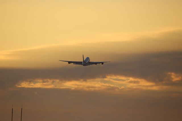 Airbus A380-800 (A6-EVF)