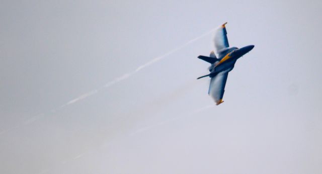 McDonnell Douglas FA-18 Hornet —