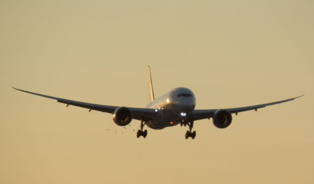 Boeing 787-8 (CC-BBA)