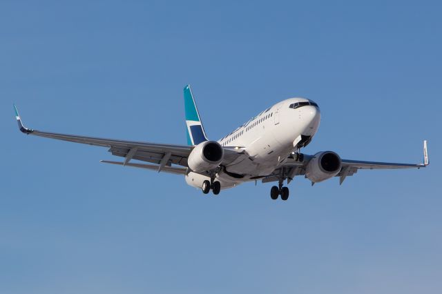 Boeing 737-700 (C-GSWJ) - Upclose and Personal landing in Toronto in early morning!br /br /a rel=nofollow href=http://www.jetphotos.net/viewphoto.php?id=7758052http://www.jetphotos.net/viewphoto.php?id=7758052/a