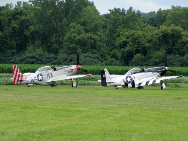 North American P-51 Mustang (N51MX)