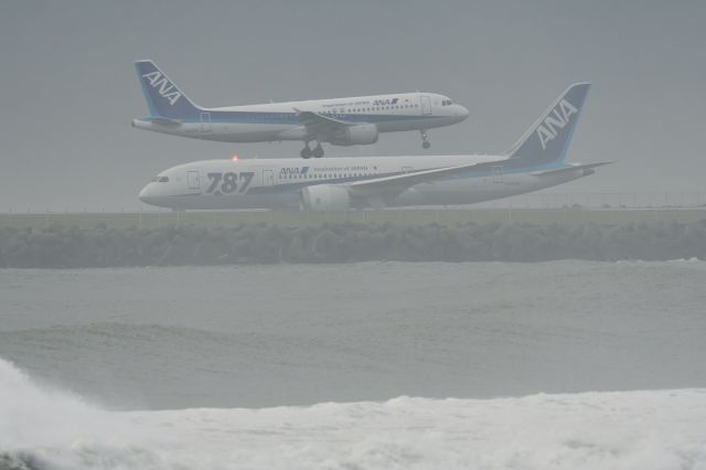 Boeing 787-8 (JA819A) - and JA8654(A320.ANA)