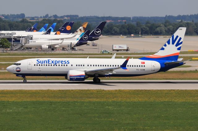 Boeing 737 MAX 8 (TC-SOM)