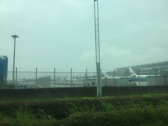 — — - A row of ANA and JAL airplanes at their gates 