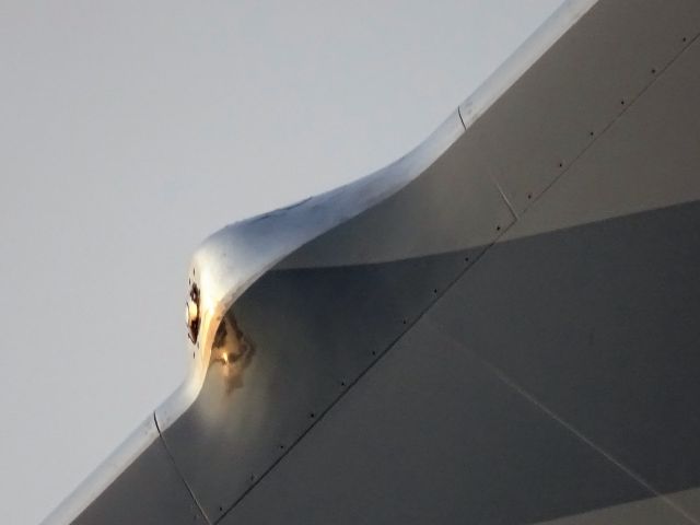 BOEING 747-8 (A7-HHE) - Tail Cam