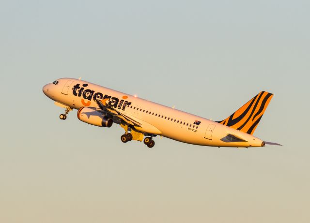 Airbus A320 (VH-XUG) - Tigerairs newest addition climbs off into the morning sun