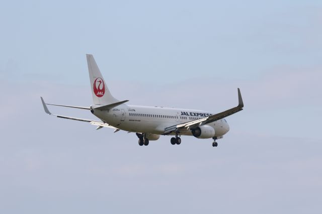 Boeing 737-800 (JA326J) - 31 October 2015:HND-HKD.