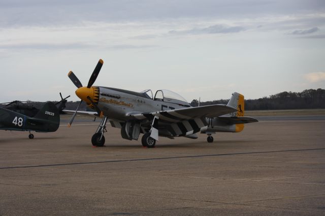 North American P-51 Mustang (N251CS)