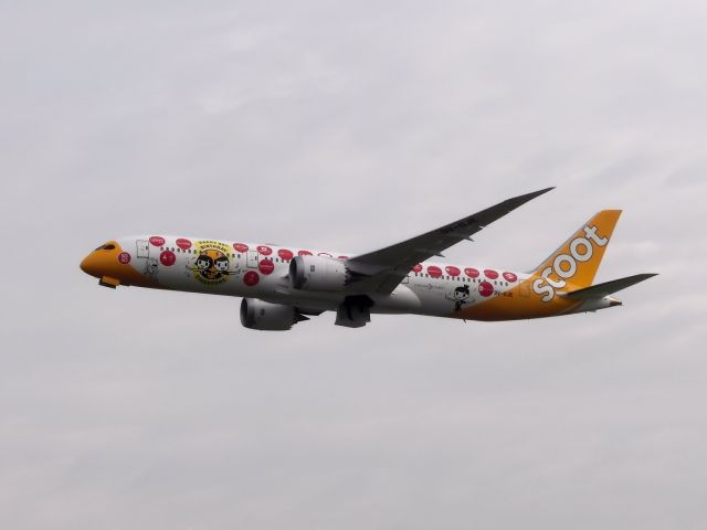 Boeing 787-9 Dreamliner (9VОJE)