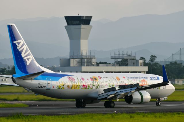 Boeing 737-800 (JA85AN) - 東北フラワージェット(TOHOKU FLOWER JET)