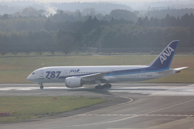 Boeing 787-8 (JA805A)