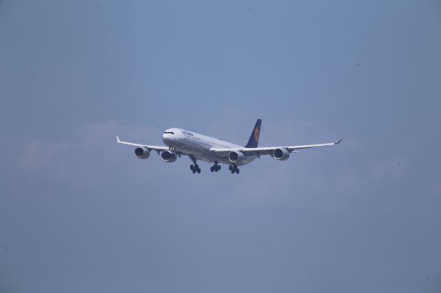 Airbus A340-600 (D-AIHN)