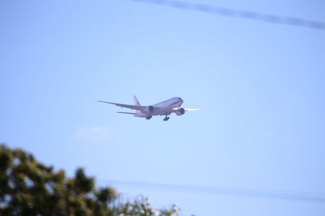 BOEING 777-200LR (B-18771)