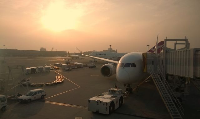 Boeing 787-8 —