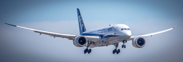 Boeing 787-8 (JA813A) - landing at LAX