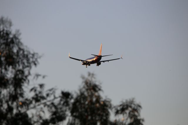 Boeing 737-800 (N8537Z)