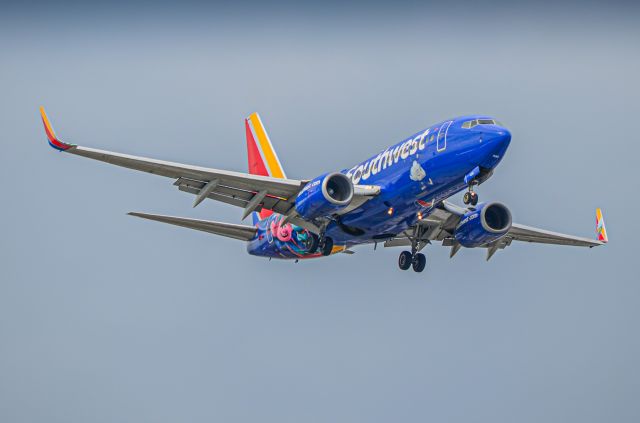 Boeing 737-700 (N406WN)