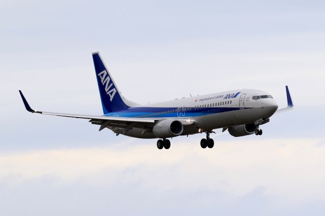Boeing 737-700 (ANAJA81AN)