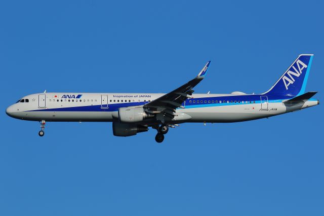 Airbus A321 (JA111A)