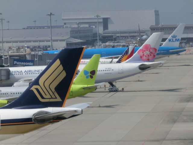 — — - 午前の部のオールメンバーです。