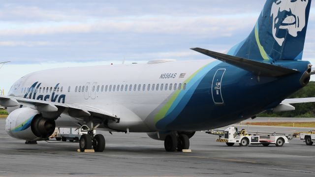 Boeing 737-800 (N556AS) - Alaska Airlines ASA177/AS177 from Anchorage (PANC/ANC) rests at gate 1 for the nightbr /Reg: N556ASbr /Type: Boeing 737-890--B738--73Hbr /MSN: 35175br /Photo date: 7-19-24br /Upload date: 12-9-24