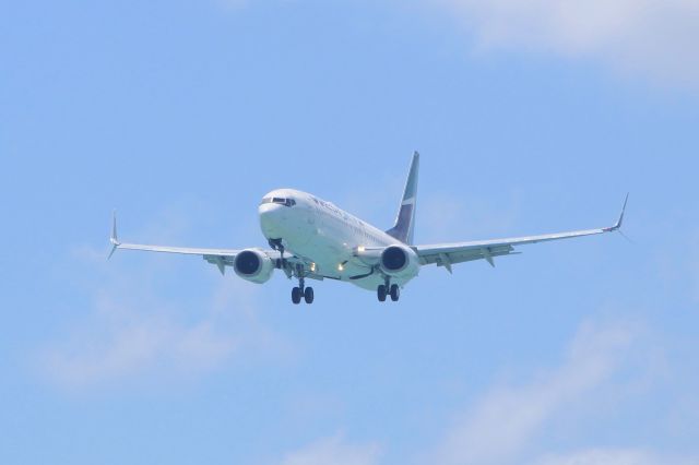 Boeing 737-800 (C-GWSR)