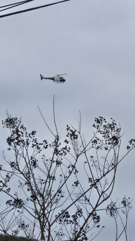 N230LA — - Me catching it flyby my house around 5pm 