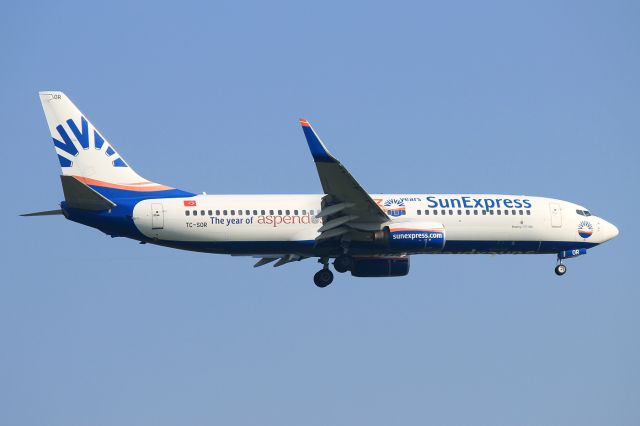Boeing 737-800 (TC-SOR)