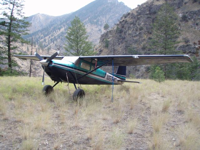 Cessna Skywagon 180 (N1594C)