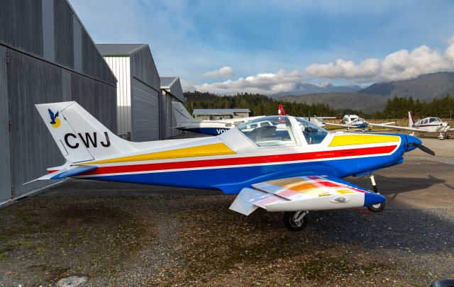 ALPI Pioneer 300 (ZK-CWJ)