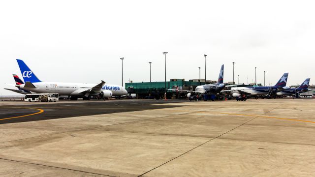 RAMP — - During my boarding process i had a small moment to capture these birds on the ramp.